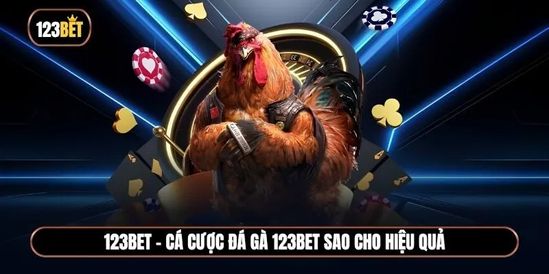 Cách cá cược đá gà 123BET hiệu quả dành cho tay chơi mới