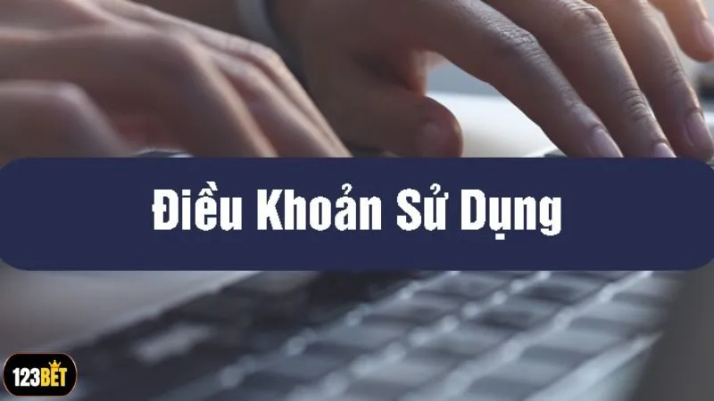 Điều khoản dịch vụ sử dụng liên quan đến việc tham gia cá cược