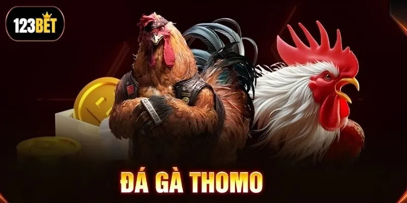 Giải mã lý do vì sao nhiều bet thủ chọn chọi gà online Giải mã lý do vì sao nhiều bet thủ chọn chọi gà online