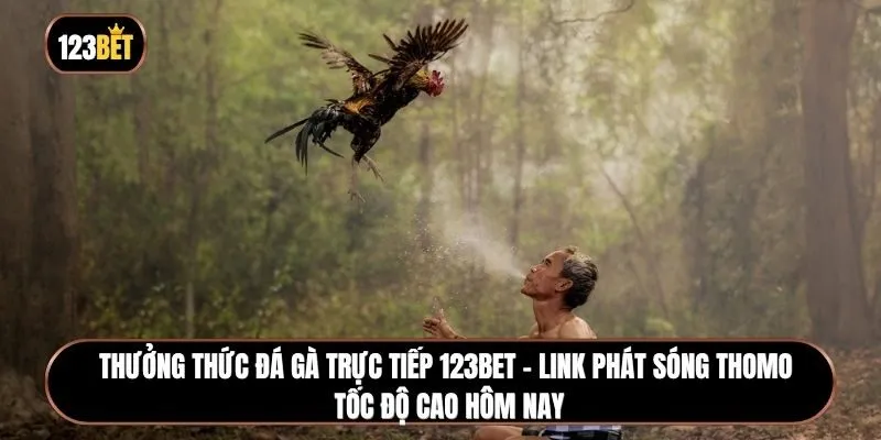 Xem đá gà trực tiếp 123BET – Link phát sóng Thomo tốc độ cao hôm nay